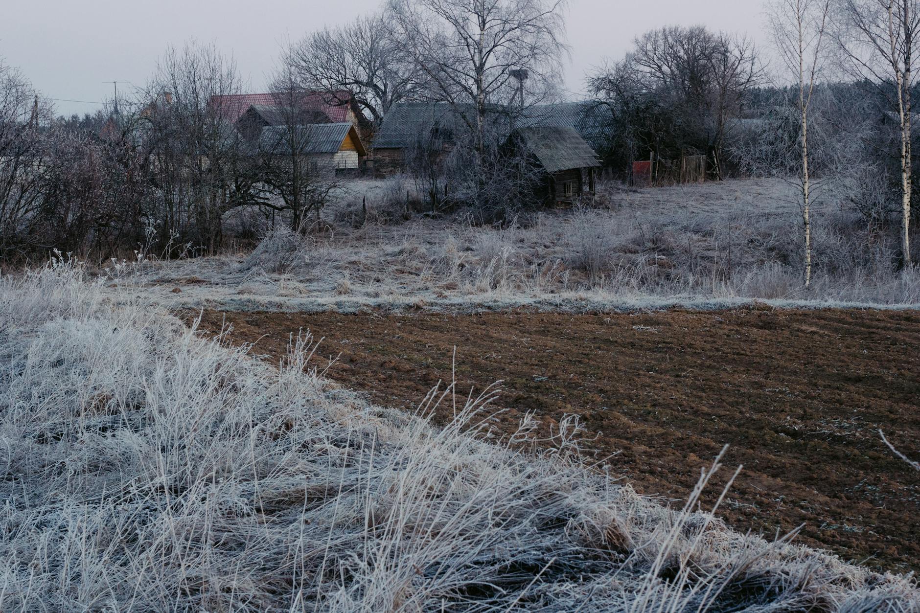 Kwitnące drzewa i młode sadzonki w ogrodzie w Lubaniu, symbolizujące początek sezonu sadzenia.